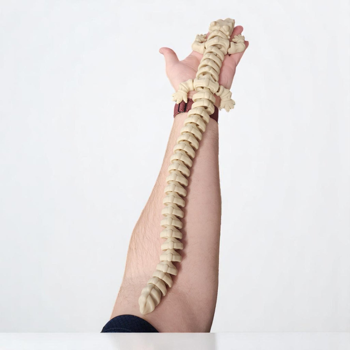 Articulating Dragon Skeleton - Fantasy Creature - Posable Dragon Toy & Decor